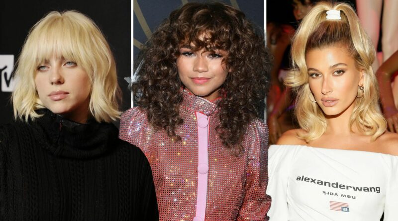 this images shows different Celebrity Hairstyles